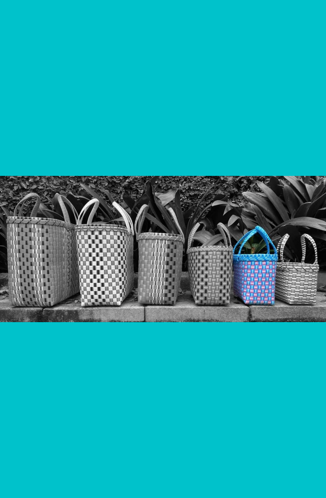 Pali Basket range showing Mini size