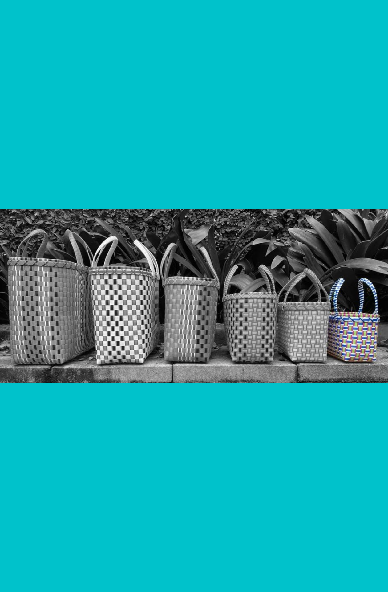 Pali Basket range showing XMini size