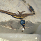 Swallow Vintage Necklet. Indian Sapphire Swarovski crystals.