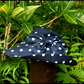 Travels With My Aunt - a hat with great style!