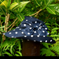 Travels With My Aunt - a hat with great style!
