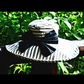 Travels With My Aunt - a hat with great style!