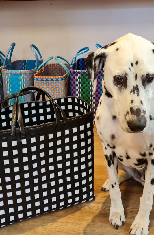 Baskets| made in Myanmar| bright colourful baskets| jumbo Pali baskets |handwoven Pali baskets| traditional Burmese woven baskets| buy online Where The Wilde Things Are